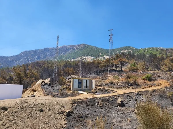 Muğla ve İzmir'de peş peşe orman yangınları! Datça'daki yangın kontrol altında-2