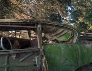 Ormanda saklanan 500 araba