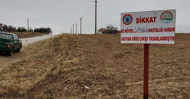 Kırşehir'de şarbon hastalığı