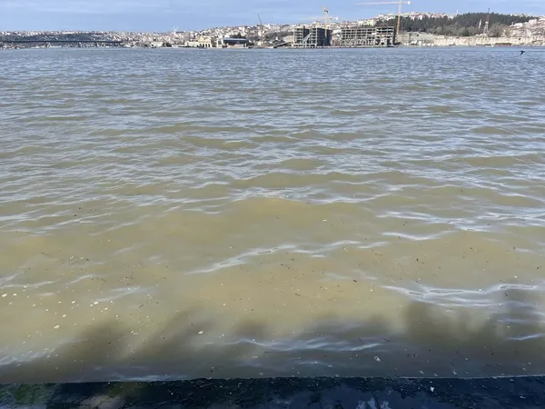 istanbulda-bogaza-ve-halice-camur-akti-deniz-kahverengiye-dondu-1644413360534.jpg İstanbul'da Boğaz'a ve Haliç'e çamur aktı! Deniz kahverengiye döndü-5