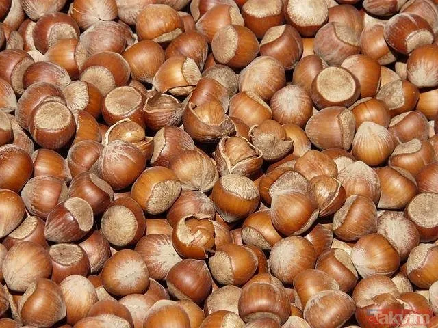 Türklerin kökeni nereden geliyor? İşte Türklerin soyağacı...