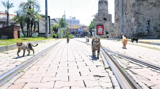 83 yaşındaki Emine Demir Milli Dayanışma Kampanyası'na 100 bin TL bağışladı-4