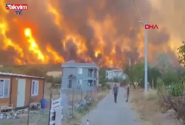Tekirdağ'da orman yangını!