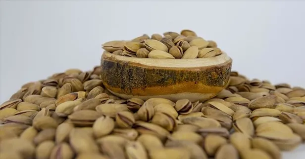 Fıstık gibi hafıza