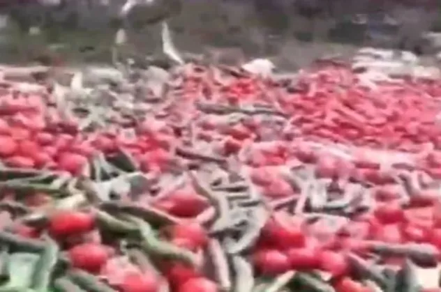Fiyatlar düşmesin diye tonlarca sebzeyi çöpe attılar! Sosyal medyayı sallayan görüntü
