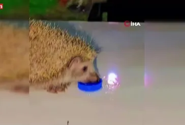 Siirt'te iç ısıtan görüntü
