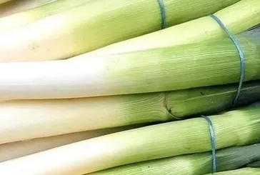 Pırasayla güzelleş