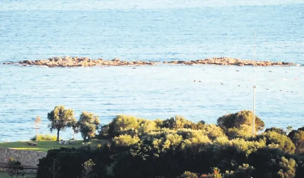 isadami-unal-pala-ve-esi-tekne-kazasi-sonucu-hayatini-kaybetti-1657573880790.jpeg İşadamı Ünal Pala ve eşi Evrim Pala sürat teknesiyle yaptıkları kaza sonucu hayatlarını kaybettiler-4