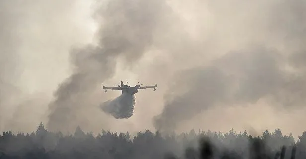 Yunanistan’ın Zakinthos Adası’nda yangın söndürme uçağı düştü