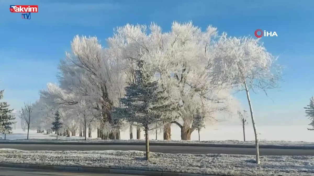 Erzurum Ovası eksi 24 ile buz kesti