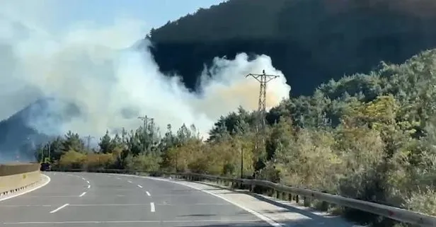 Mersin Tarsus’ta orman yangını!