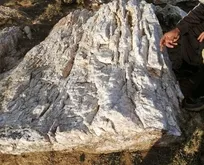 Son dakika: Erzurum’da yine altın madeni bulundu!