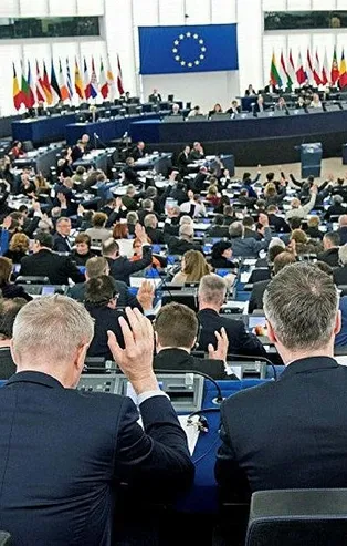 PKK sempatizanı Avrupa Parlamenteri Kati Piri'nin Barış Pınarı hazımsızlığı