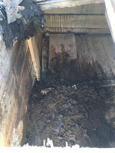 Tunceli'de PKK'ya darbe üstüne darbe-6