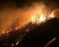 Karadeniz’deki orman yangınları ile ilgili açıklama