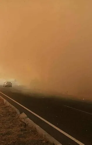 Son dakika: İzmir Aliağa'da orman yangını