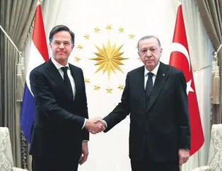 Tek yol diploması