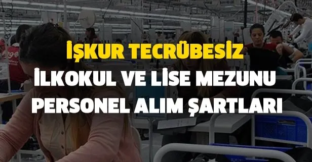 İŞKUR tecrübesiz ilkokul ve lise mezunu personel alım şartları ilgi çekiyor!