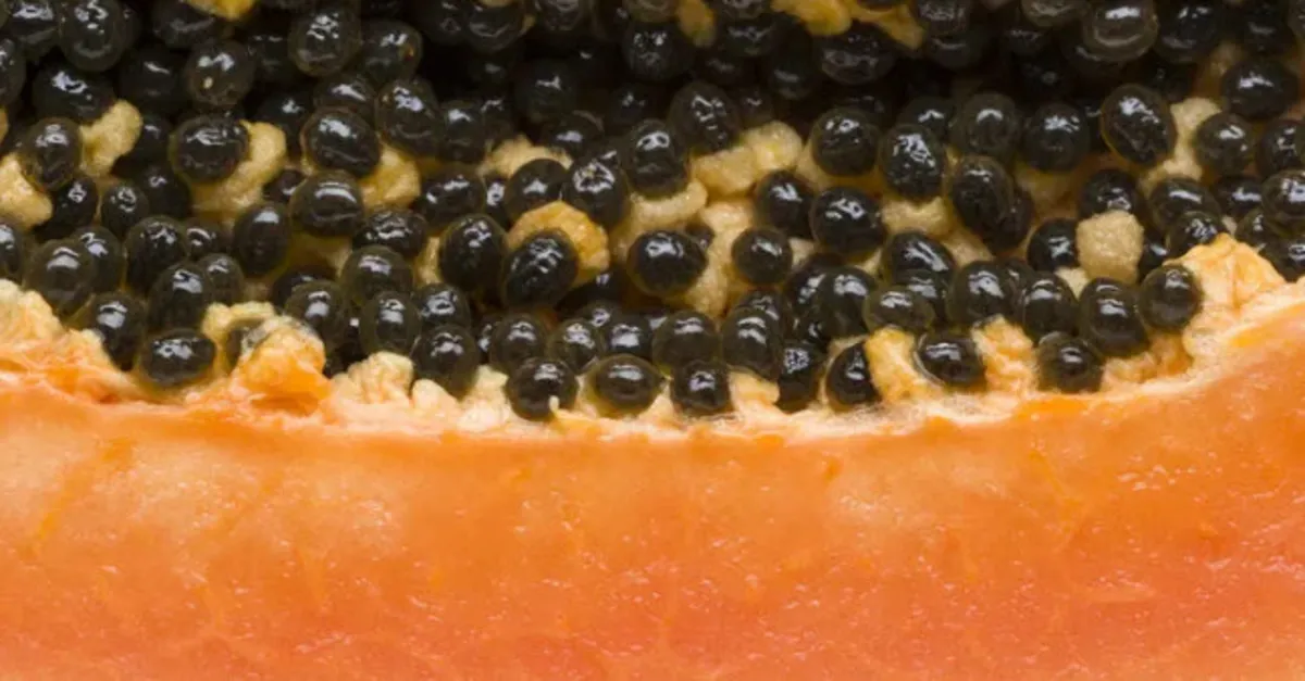 Meleklerin meyvesi denen papaya nedir? Papayanın faydaları nelerdir?