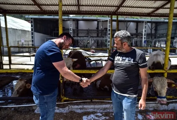 Kurban nasıl kesilir? Kurban için vekalet nasıl verilir? Kurban ibadetinde nelere dikkat edilmeli? Diyanet kurbanda dikkat edilmesi gerekenleri açıkladı - 7