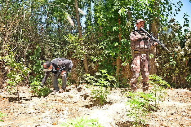 UNESCO Dünya Kültür Mirası Listesi'nde yer alıyor! Hevsel Bahçeleri'ne operasyon-5