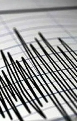 Ege'de 4 saatte 56 deprem meydana geldi