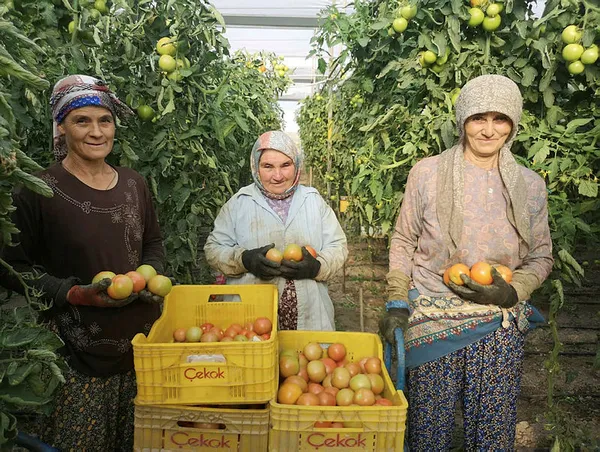 Suudi Arabistan'dan Çin'e Rusya'dan Almanya'ya tüm ülkeler sıraya girdi! Denizli'de üretiliyor! Tam 1.6 kilo...-2