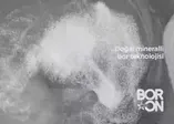 Bakan Berat Albayrak'tan BORON mesajı