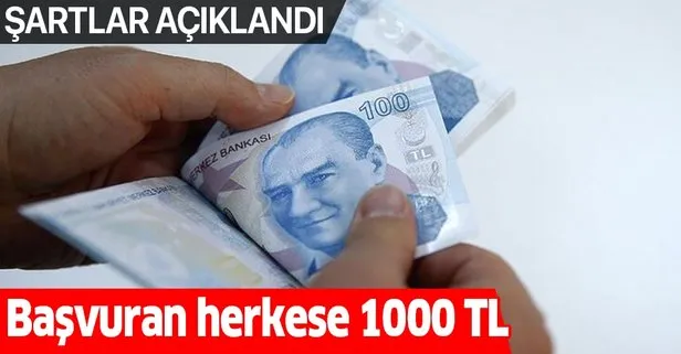 e-Devlet üzerinden başvuru ile 1000 lira ödeme alınabilecek! Sosyal yardım şartları açıklandı