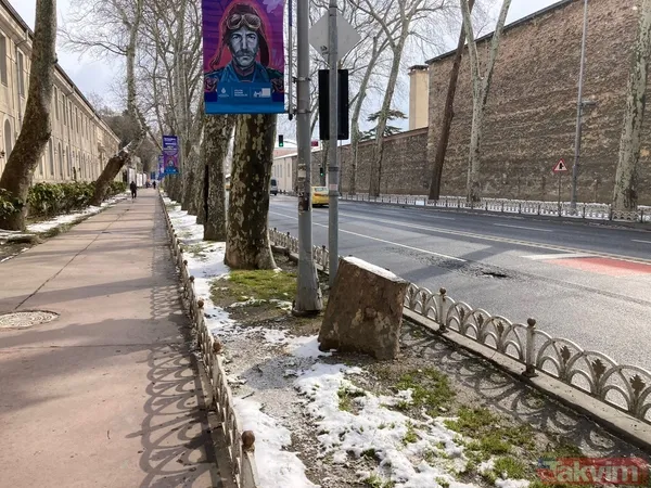 İBB'nin ağaç katliamı karşısında kafasını kuma gömenlere tepki! "Muhalefet keserse ağaçlar hasta, hükümet keserse doğa düşmanı..." - 1