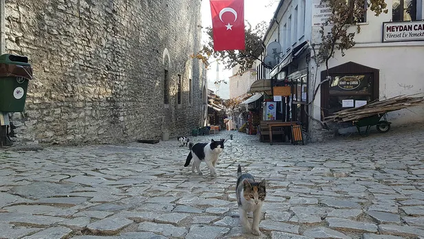 1607175652124.jpg Tarihi kent Safranbolu hayalet şehre döndü!-2