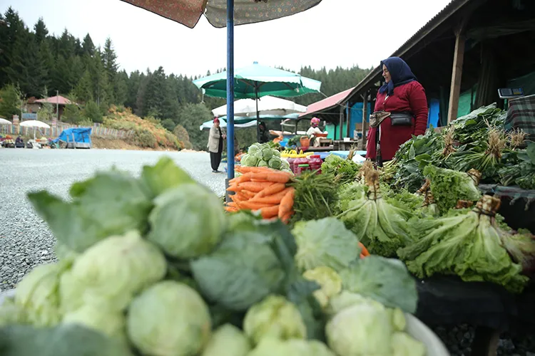 ibrahim-saracoglunun-mucize-kuru-kolesterol-dusmani-odem-avcisi-gobek-eritici-1727704405504.jpg Ödem avcısı ve göbek eritici... İbrahim Saraçoğlu’nun öve öve bitiremediği zayıflatan kür!-3
