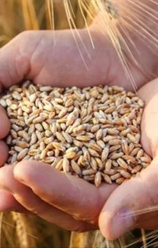 Hazine ve Maliye Bakanı Nureddin Nebati'den 2. Türkiye Çiftçi Zirvesi'nde önemli açıklamalar: "Küresel gıdada Erdoğan etkisi literatüre girecek"