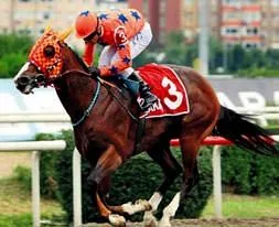 Kirli ticaretten servet yaptı