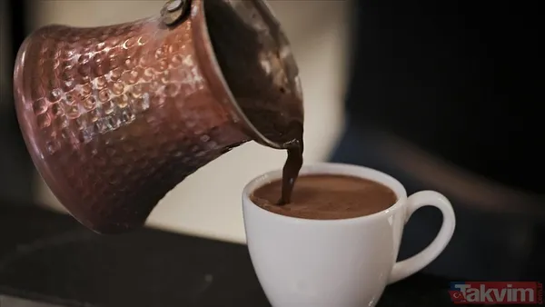 Ampk Sisteminin Aktif Olduğu Hücrelerin Daha Yavaş Yaşlandığı, Daha Etkin Onarım Yaptığı Ve Çevresel Stres Faktörlerine Karşı Dayanıklı Hale Geldiği İfade...