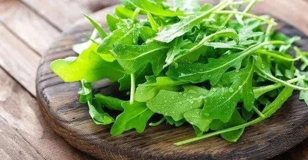 Kemiklere çare roka