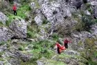 Manisa'da ot toplamaya çıkan genç gözlerine inanamadı: Geriye sadece iskeleti kalmış!