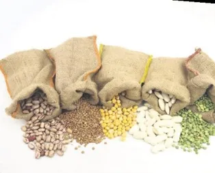 Kalbe-şekere mercimek -fasulye