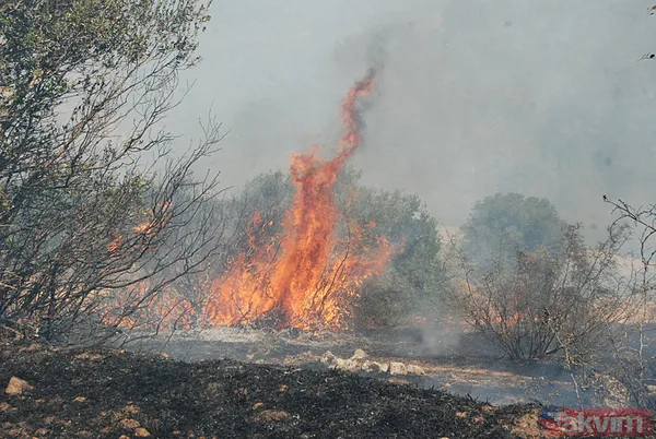Havadan ayrı karadan ayrı müdahale! Çanakkale'de yangın ormanlık alana sıçradı! - 1