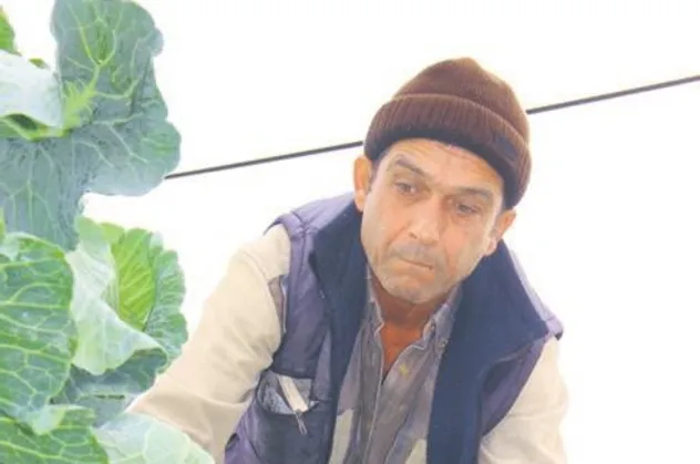 Lahananın kilosu 5 liraya çıktı