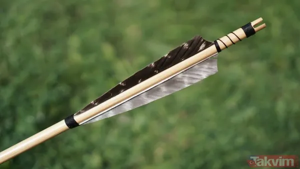 Dünyanın bilinen en eski zehirli oku keşfedildi - 8