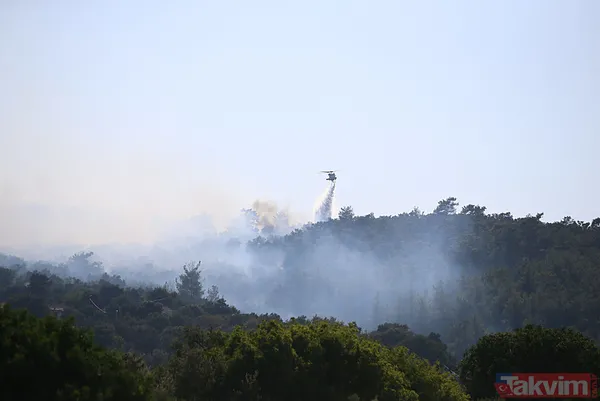 Bodrum'da orman yangını! "2024 yılının en ciddi yangınlarındandı" Kontrol altına alındı - 10