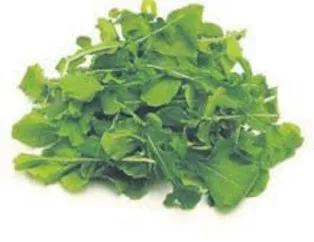 Katarakta roka etkisi