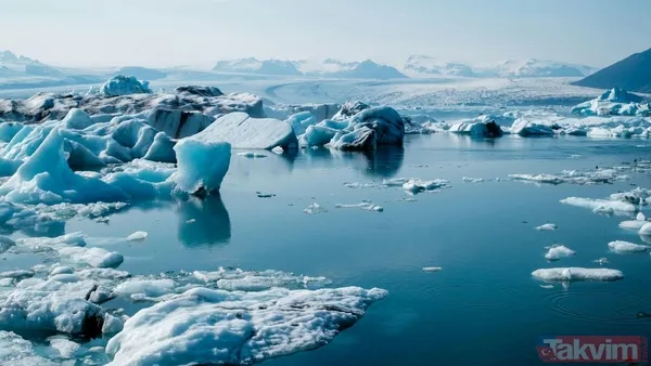 Doğanın dengesi değişiyor! Bilim insanları şaşkın: Bu ülkede ilk kez sivrisinek görüldü - 4