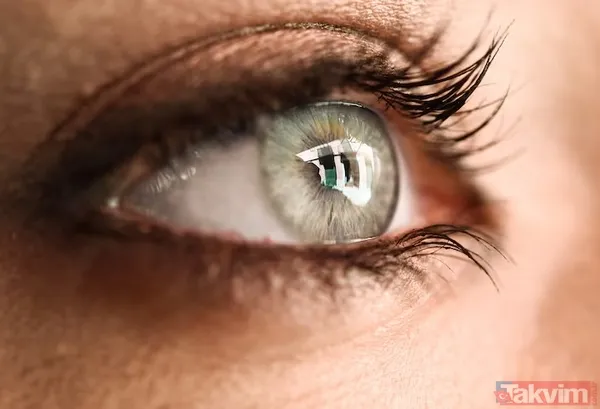 Yeni Zelanda'da 900 Kişinin 45 Yıl Boyunca Takip Edildiği Dev Bir Çalışmada, Gözdeki Belirli Değişimlerin, Erken Yaşta Demans Belirtilerine İşaret Edebileceği...