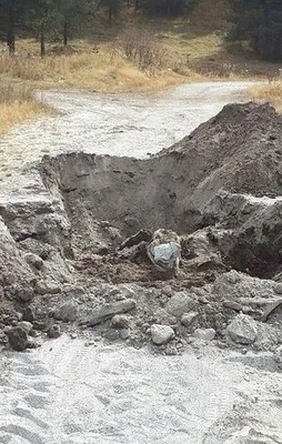 Erzurum'da hain tuzak imha edildi