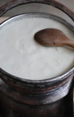Kanserden korunmak için yoğurt tüketin
