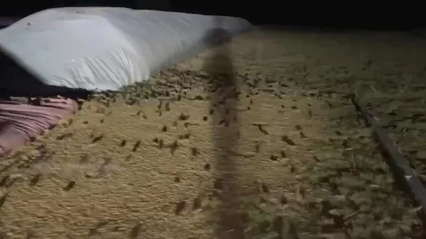 Kocaeli İzmit'te 3 ay önce evlenen Beyza Nur, banyoda ölü bulundu (Yaşam haberleri)-6