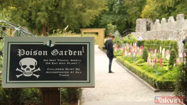 Dünyanın En Ölümcül Bahçesi 🔹İngiltere'nin Northumberland Bölgesinde, Alnwick Kalesi'nin Hemen Yanında Yer Alan Zehirli Bitki Bahçesi, Barındırdığı Yüzü Aşkın...