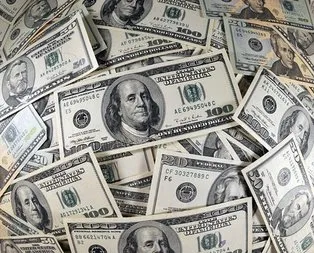 Bakan Zeybekçi’den dolar açıklaması